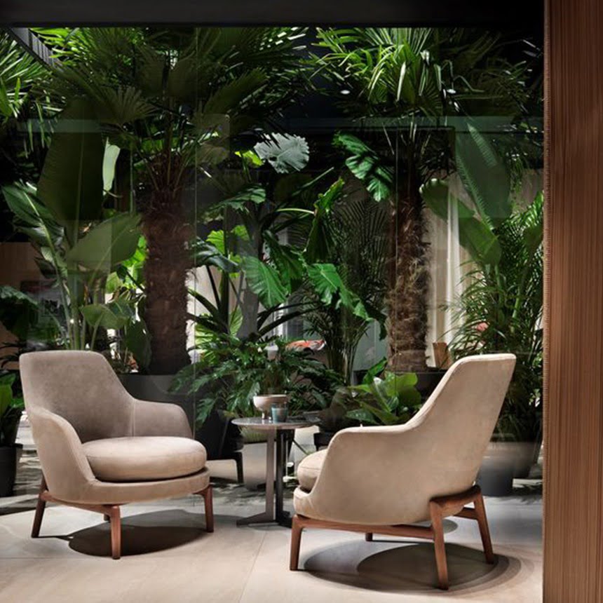 Biophilic home decor | Alive Studio