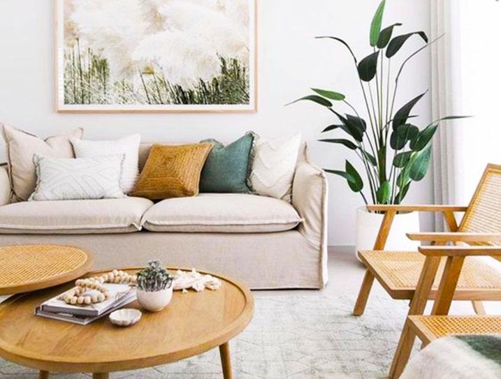 Explore the summer decor