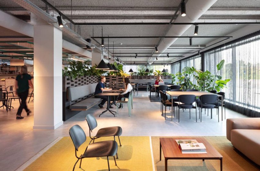 Incorporating Natural Elements for modern office design